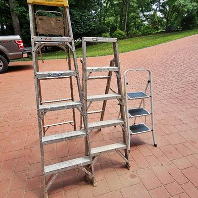 3 Step Ladders