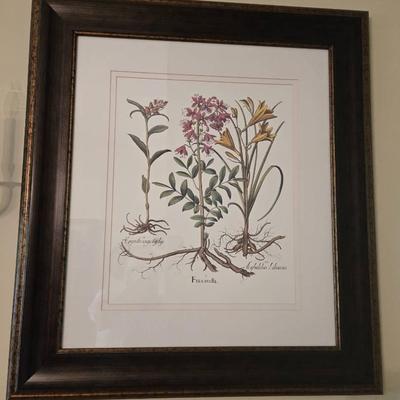 2 Botanical Wall Art Framed Prints