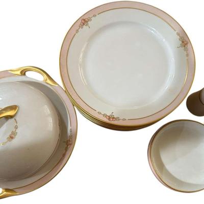Exquisite Bavarian Hand-Painted Porcelain China