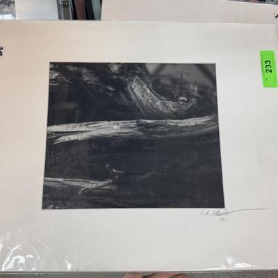 Sale Photo Thumbnail #285