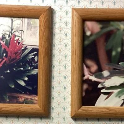 Sale Photo Thumbnail #92: Wall art succlent florals