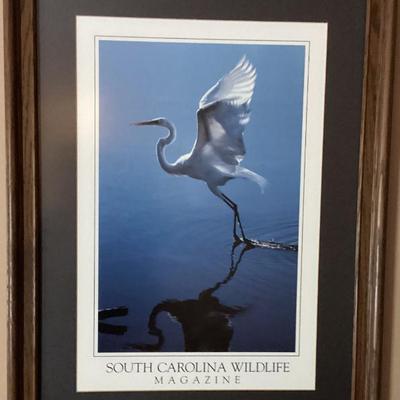 Sale Photo Thumbnail #87: Wall art pelican