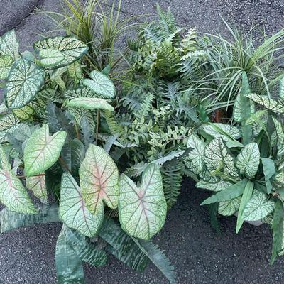 #2 Mystery Lot of Faux Plants