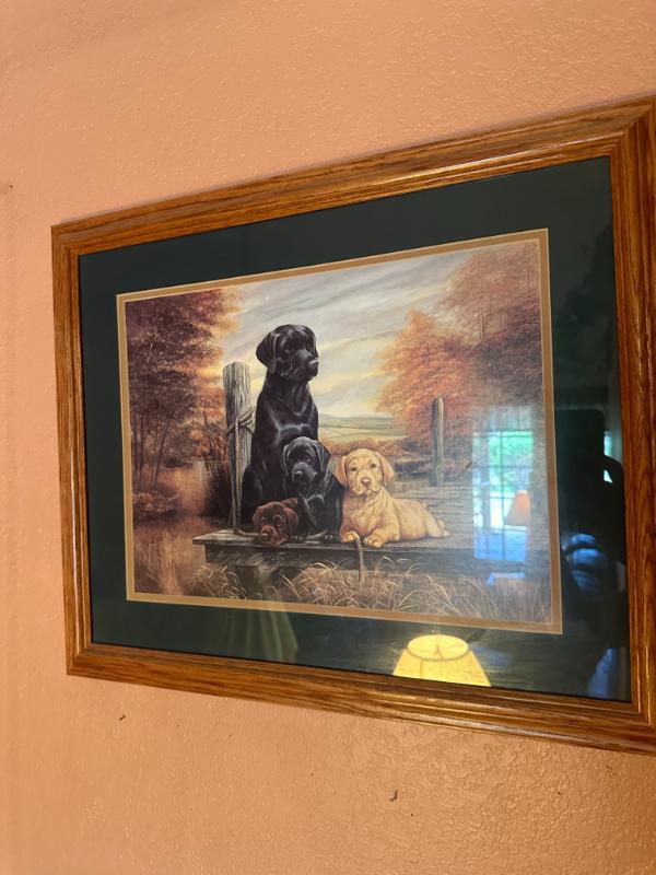 Sale Photo Thumbnail #148