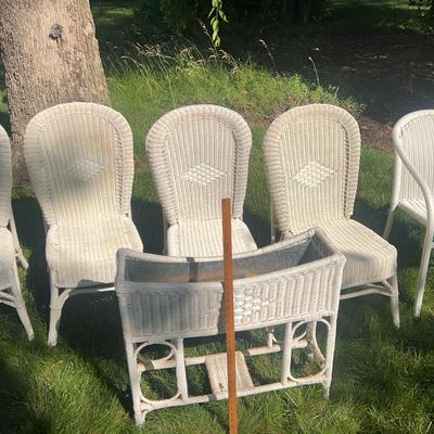 Wicker Chairs And Planter