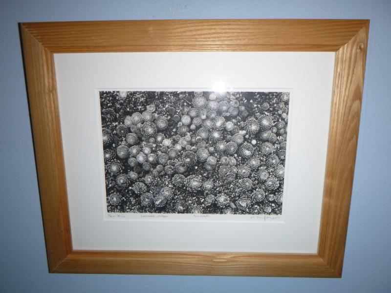Sale Photo Thumbnail #32
