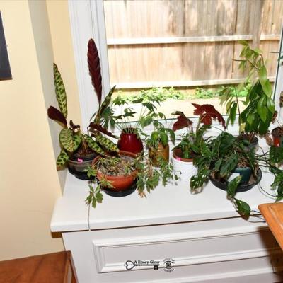 406 kitchen