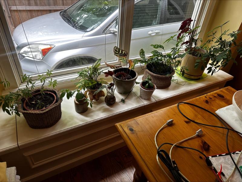 Sale Photo Thumbnail #31