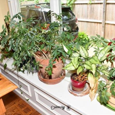 420 kitchen
