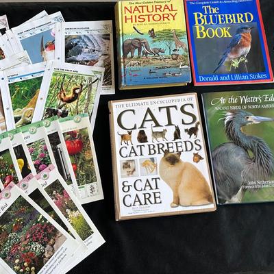 Nature Lover’s Book & Card Collection – Animals, Plants & Signed Bluebonnet Books