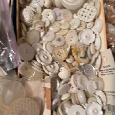 White Button Collection