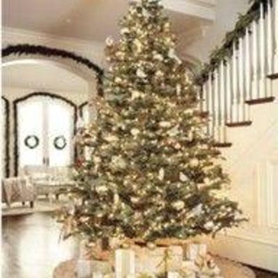 Christmas Tree and decorations