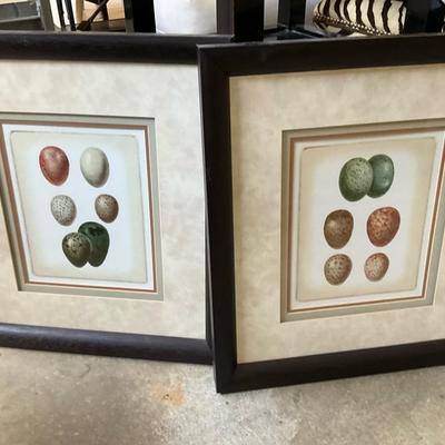 Framed Nature Prints – Speckled Ovals Illustrations (Set of 2)