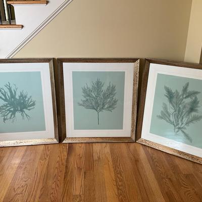 Set of Three Botanical Prints in Rustic Wood Frames