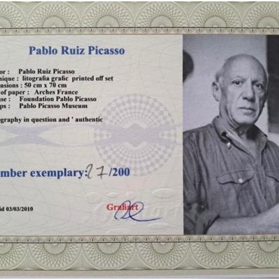 Picasso cert