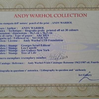 Warhol certificatte