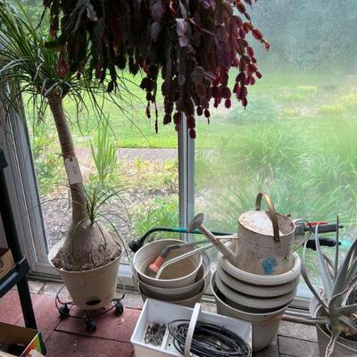 Sale Photo Thumbnail #885