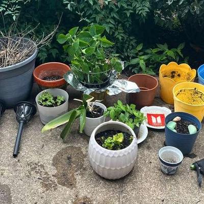 Grow Your Own Way! 