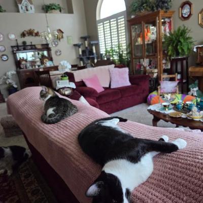 Sale Photo Thumbnail #142