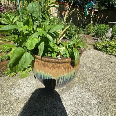 Pots
