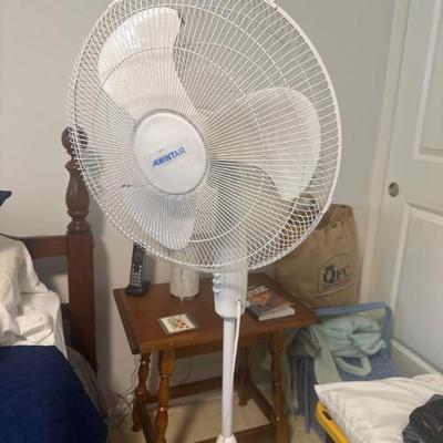 Fan