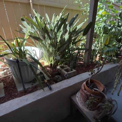 Sale Photo Thumbnail #139