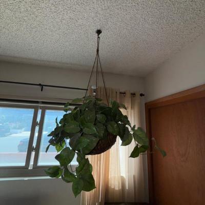 Sale Photo Thumbnail #40