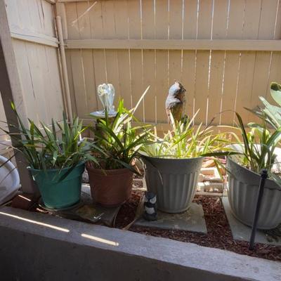 Sale Photo Thumbnail #140