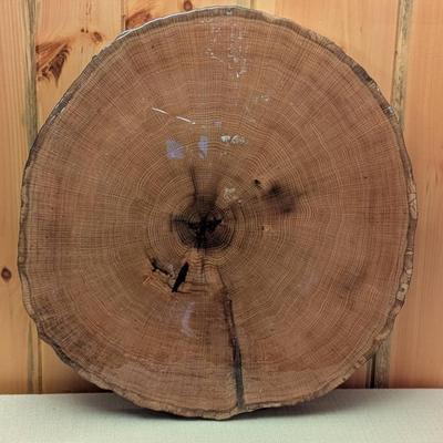 Lacquered Tree Slab #3