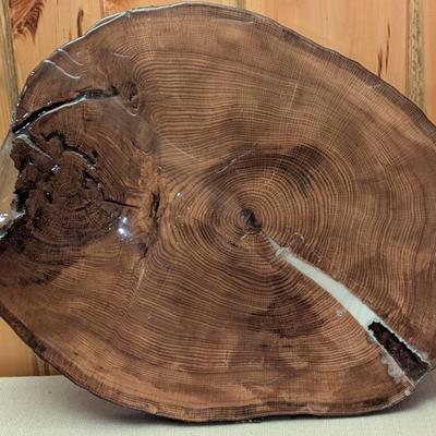Lacquered Tree Slab #1