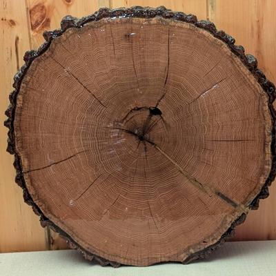Lacquered Tree Slab #2