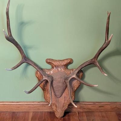 Elk Rack