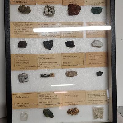 Minerals Unlimited Rock Collection #4
