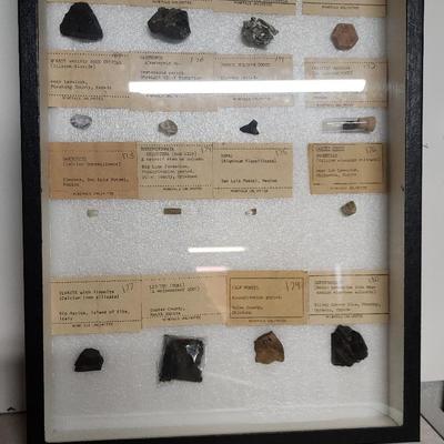Minerals Unlimited Rock Collection #11
