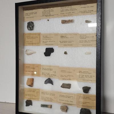 Minerals Unlimited Rock Collection #6
