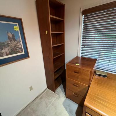 Booksellers & filing cabinet