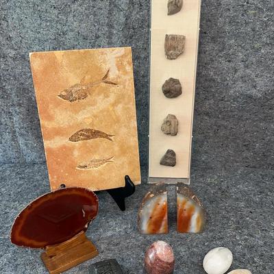 Fossil & Mineral Collection | Fish Fossils, Carved Stones, Agate Bookends & Polished Spheres