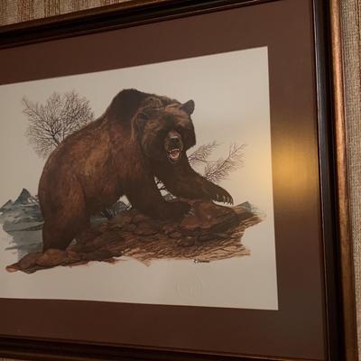 University Of Montana Grizzly Print