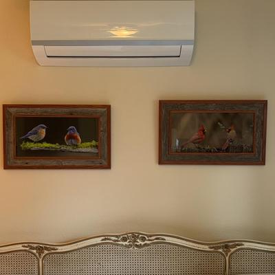 Pair Of Framed Bird Photographs