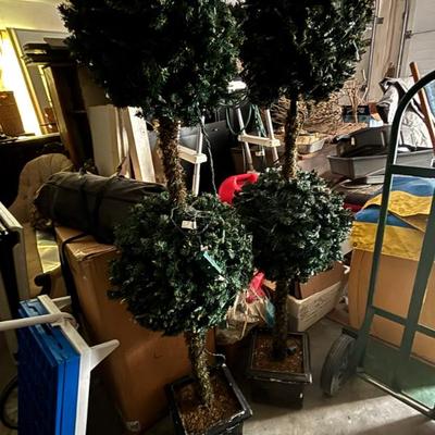 Sale Photo Thumbnail #22: Topiary $25 each
