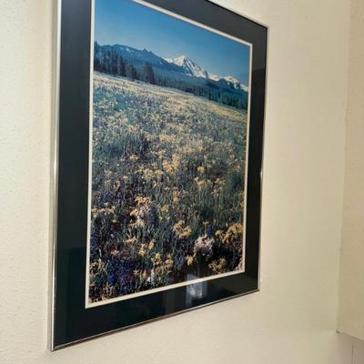 Sale Photo Thumbnail #225
