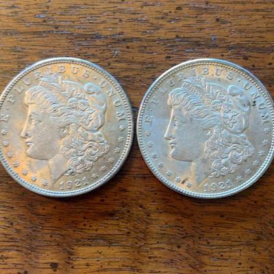 Morgan Dollar Coin Collection Lot A