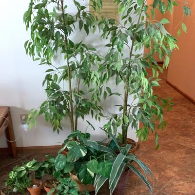 Faux Plants