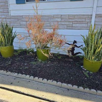 Wr135 green pots