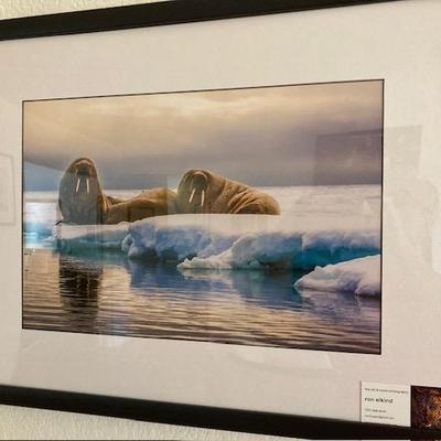 Sale Photo Thumbnail #21