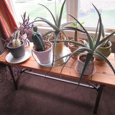 Sale Photo Thumbnail #48