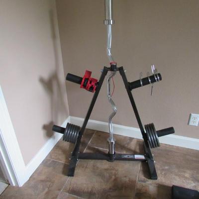 Weight stand with weights