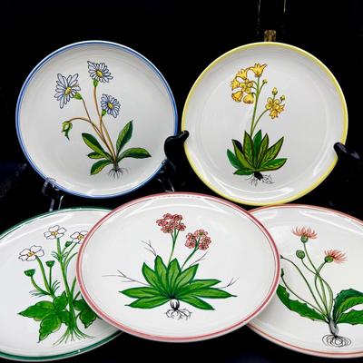 (5) Botanical Plates Made In Italy Signed Freeman Numbered Hand Painted  8'