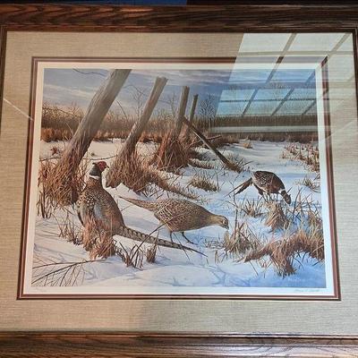 Kevin T. Daniel Pheasent Print 
