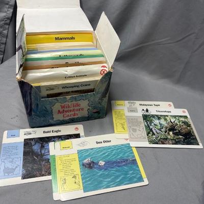 Sale Photo Thumbnail #237